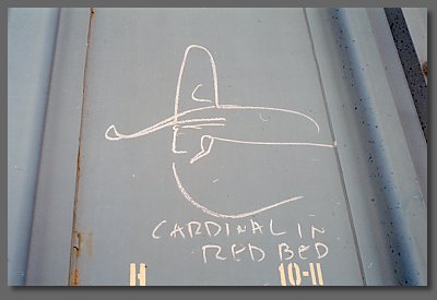 cardinal in red bed