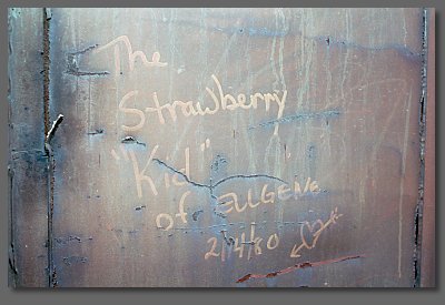 the Strawberry Kid