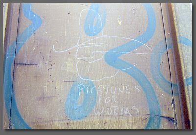 picayunes for worms