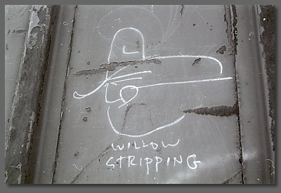 willow stripping
