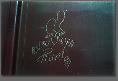 Runt