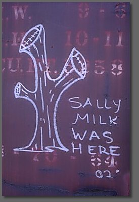 Sally Milk