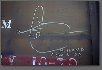 holland cow side