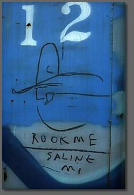 ruokme, saline mi
