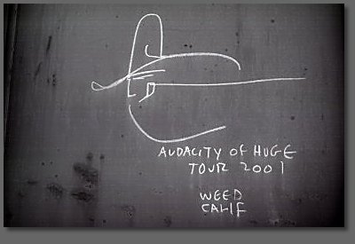 Audacity of Huge Tour, 2001, Weed, Calif