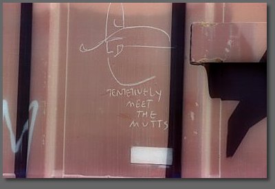 tentetively meet the mutts