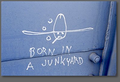 born in a junkyard