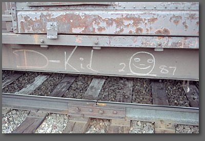 D-Kid