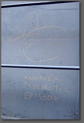 another psychotic episode