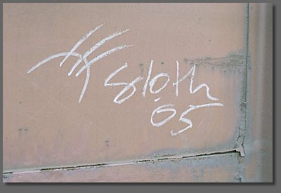 sloth
