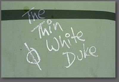 the thin white duke