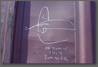 no domy this summer
