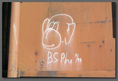 B.S.Phx