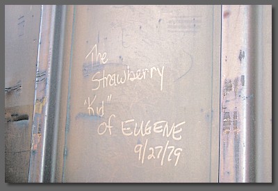 the Strawberry Kid