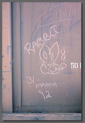 Rabbit