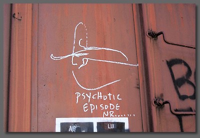 psychotic episode