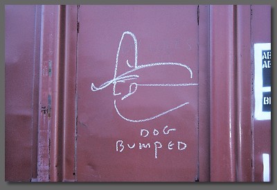 dog bumped