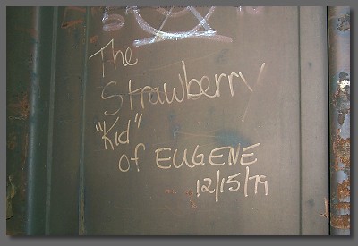 the Strawberry Kid