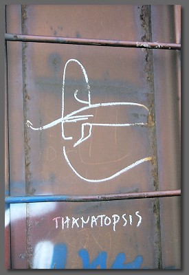 thanatopsis