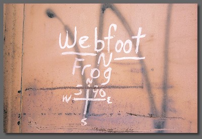 Webfoot & Frog