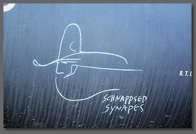 schnappsed synapses