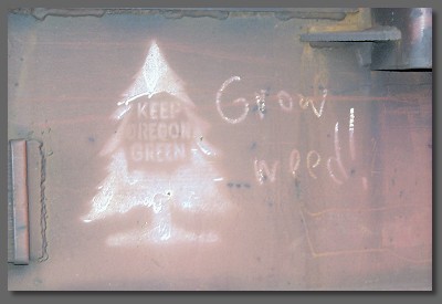 grow weed