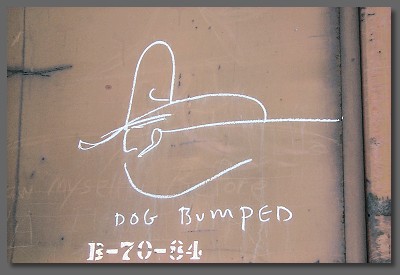 dog bumped