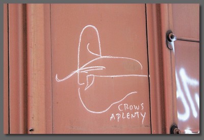 crows aplenty