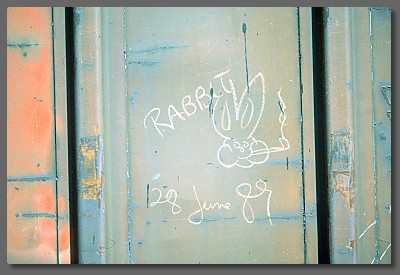 the Rabbit