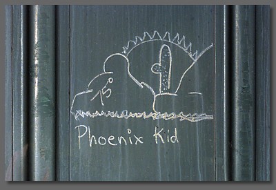 Phoenix Kid