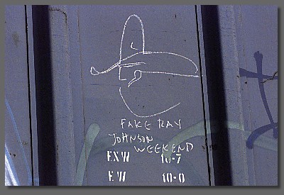 fake ray johnson weekend