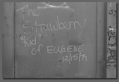 the Strawberry Kid
