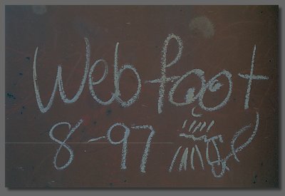 Webfoot