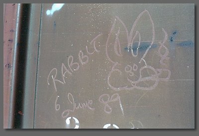 Rabbit