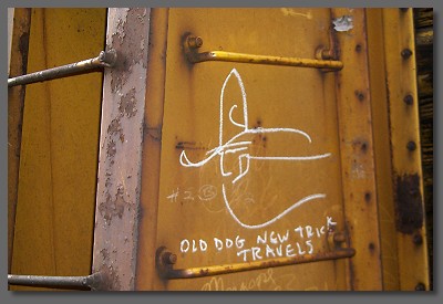 old dog new trick travels