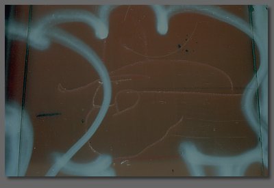 unidentified buZ blurr