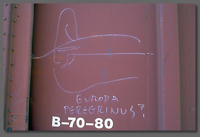 europa peregrinus?