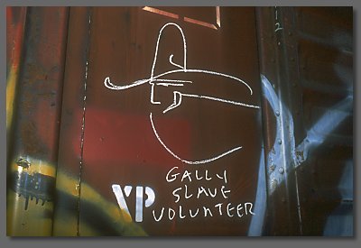 gally slave volunteer