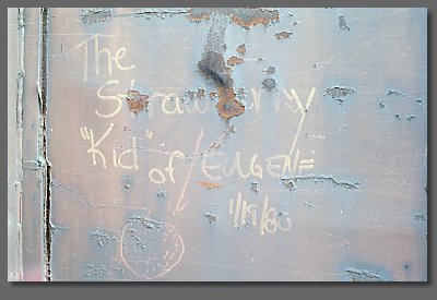 the Strawberry Kid