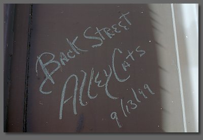 Backstreet Alley Cats