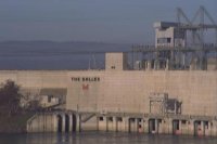 dam and fish ladder at The Dalles