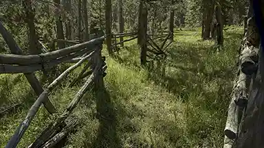 thumb35