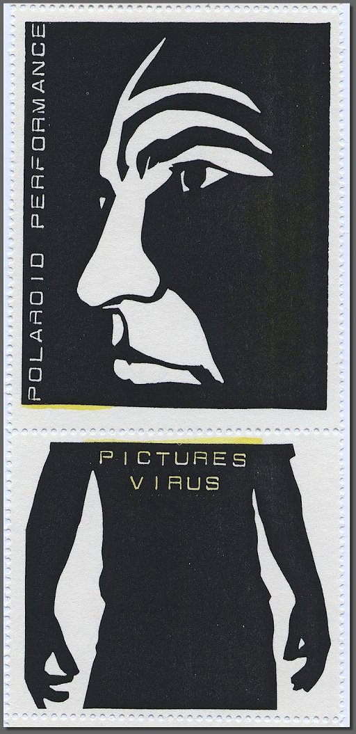 Polaroid Performance