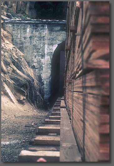 Taking a deep breath of fresh air