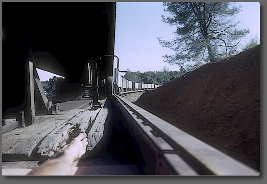 Basking on the sunny side between Redding and Red Bluff, CA