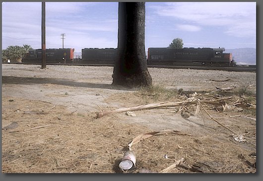 Waiting for the helpers to go to work at Indio, CA