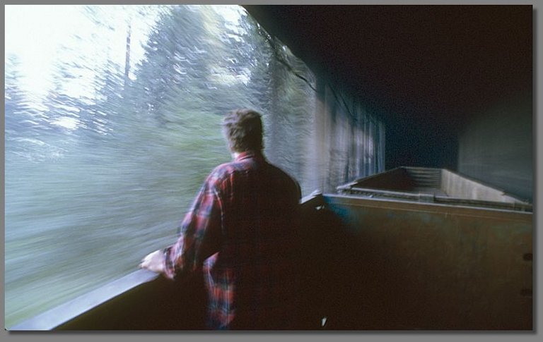 snowsheds, Oregon Cascades, September 1996